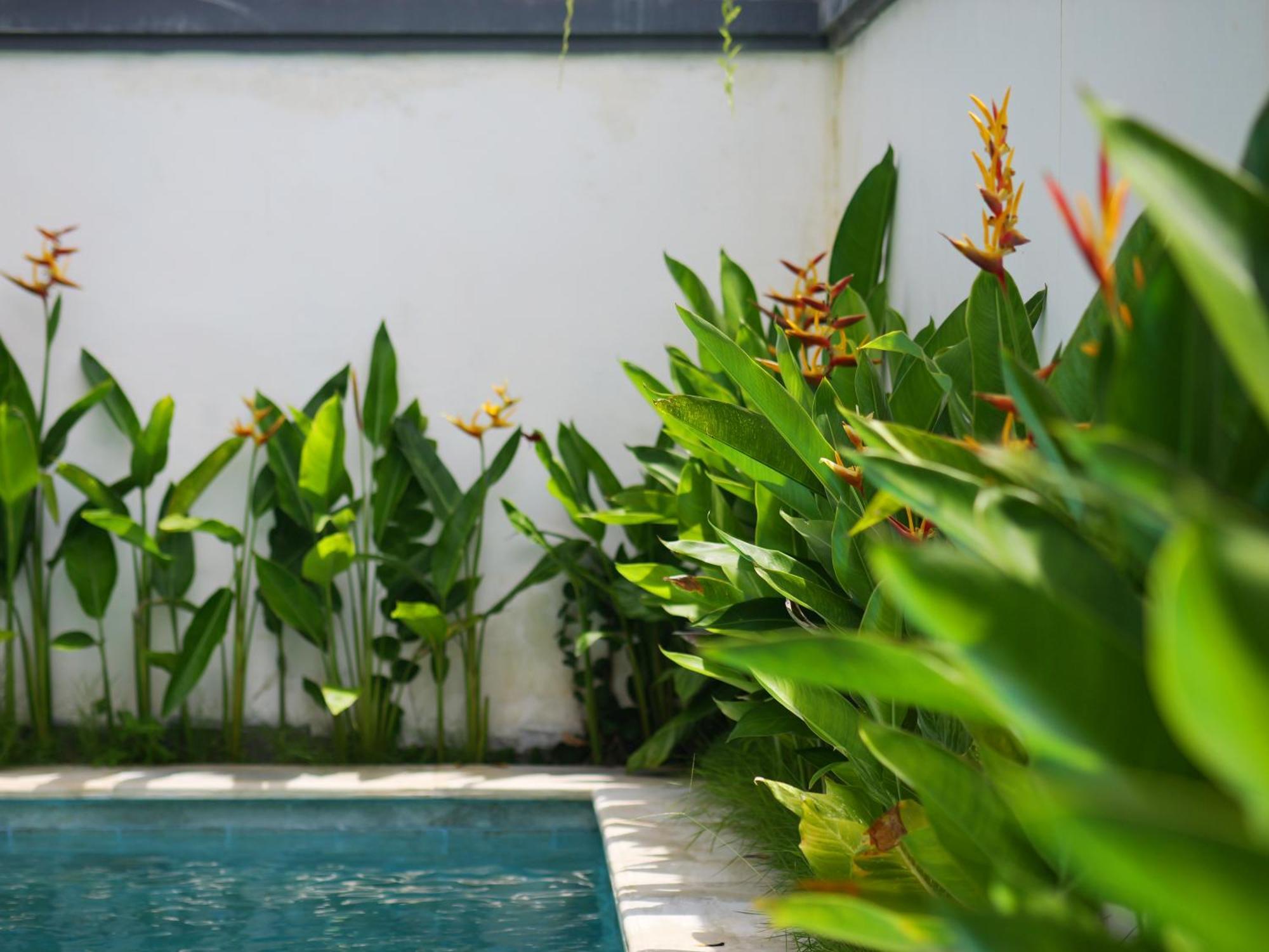 Ken Ken Guest house *
